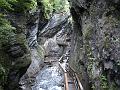 AUS04062009 (17)
